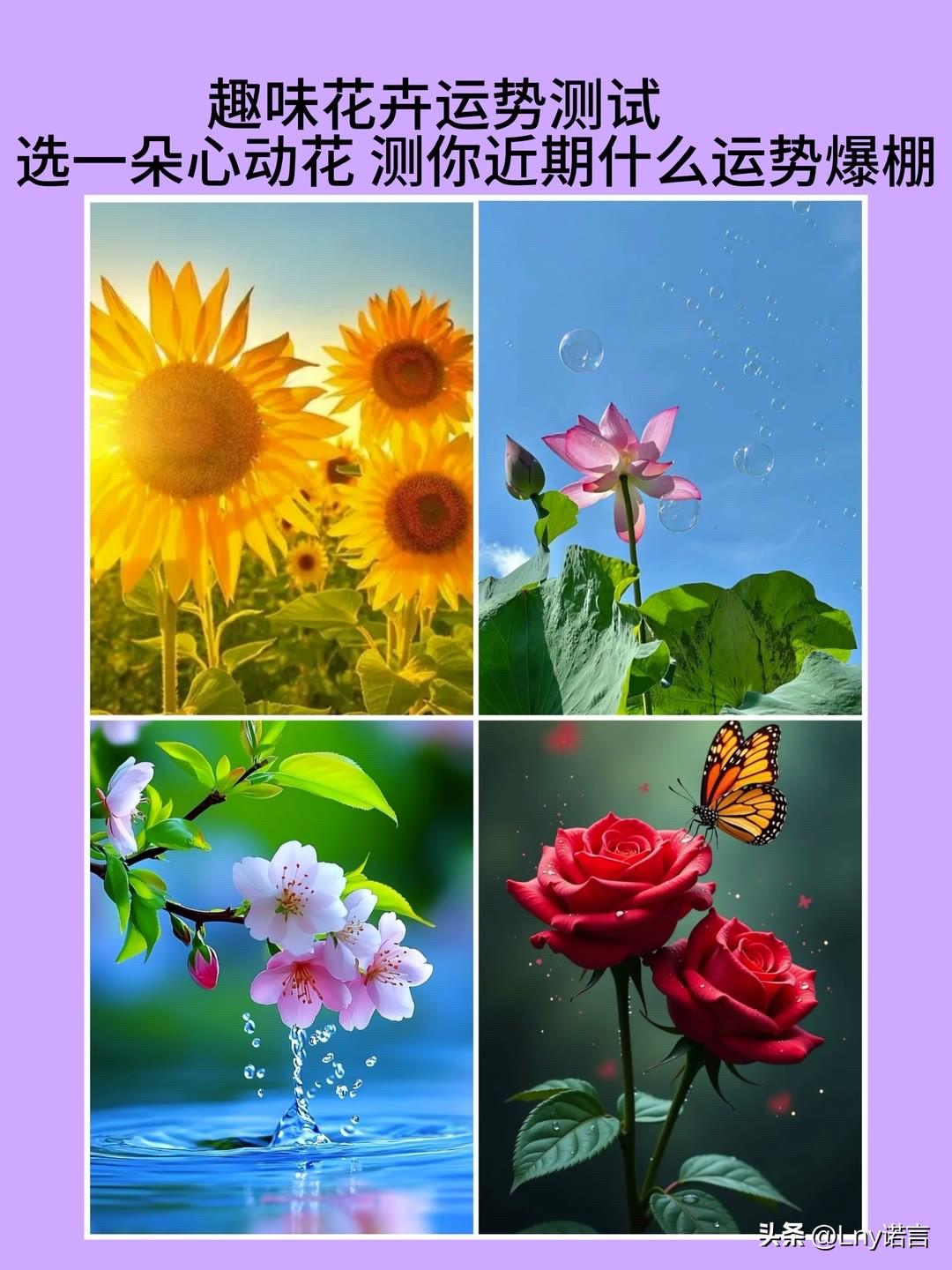 选一朵心动花 测你近期什么运势爆棚
