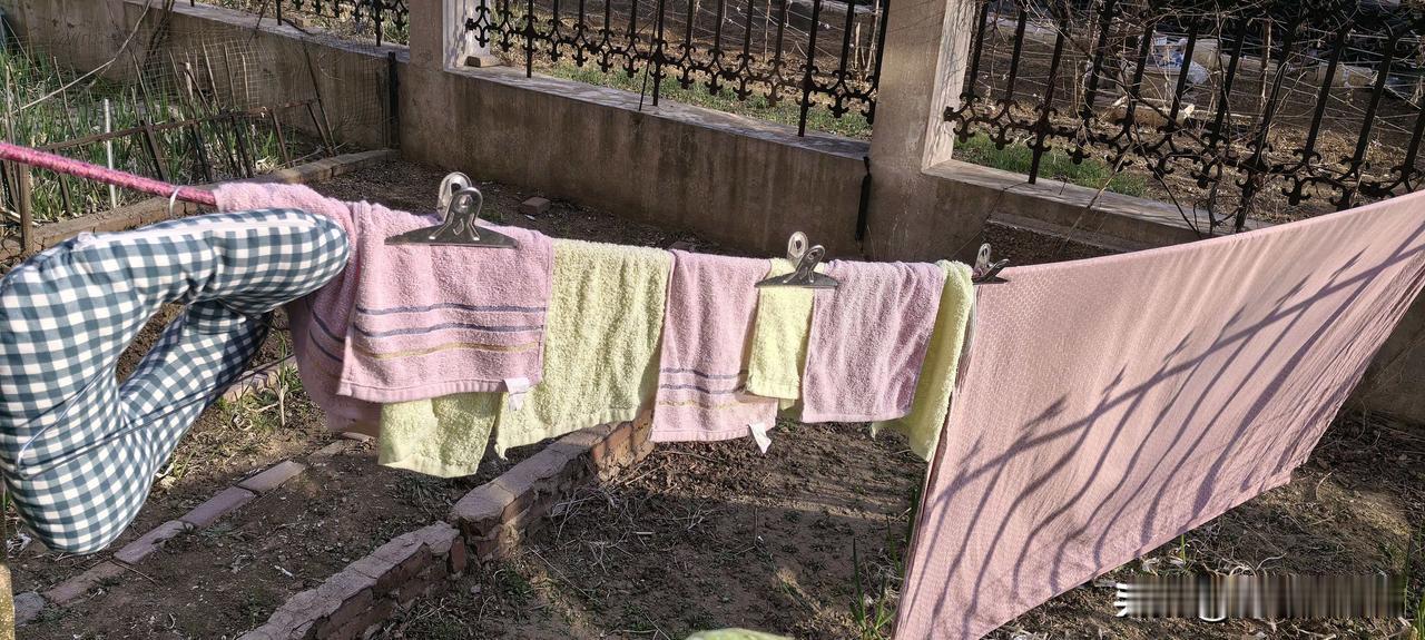 三月的最后一天了，我的心是悲凉的。
我妈摔倒卧床整整三个月，最初怕她生命就此停止