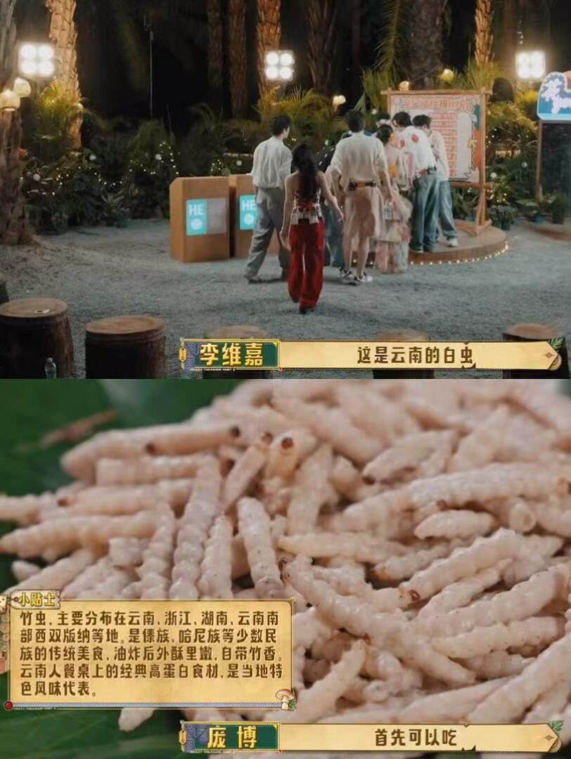 杨迪武艺录的是密逃吧杨迪武艺密逃番外有建议节目组直接开密室特辑！杨迪武艺在绿光房