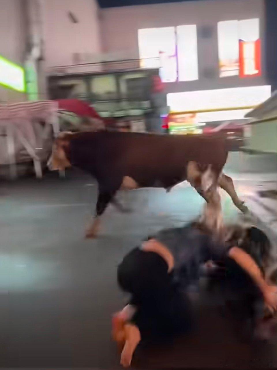 长沙地铁口牛撞人2人被顶飞这地铁口哪里来的牛啊？？？牛都跑到城里来了？ 