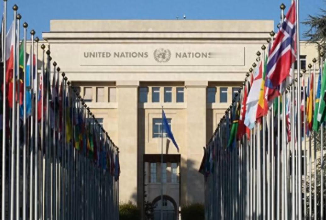 /联合国根本就不理我们，不管中国要求申请联合国什么事情，联合国都不爱搭理中国，只