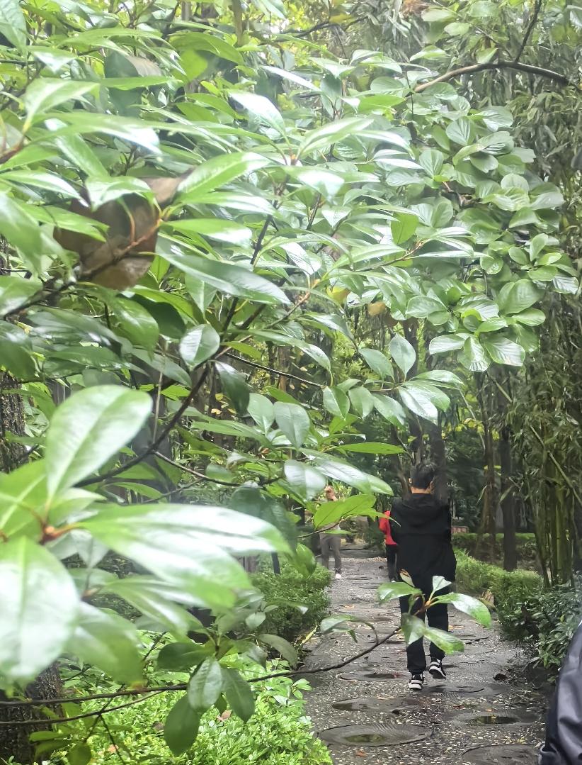 从这个中秋节我们我就已经真真切切地体会到将要步入老年人行列的失落。
中秋节这一天