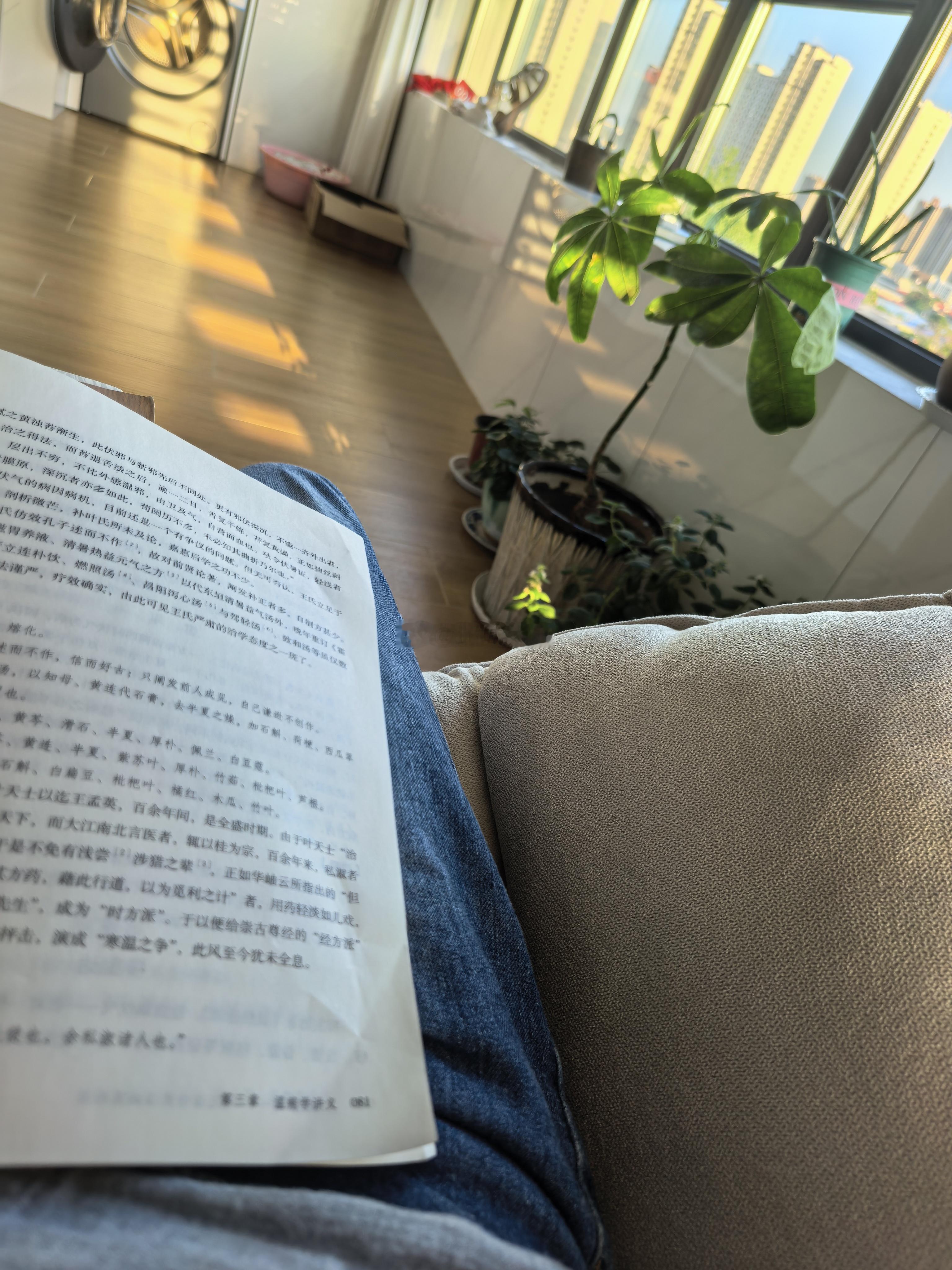 久雨放晴，窝在阳台的躺椅上晒晒太阳，发发呆，翻几页书，不时盯着点被圈起来的小不点