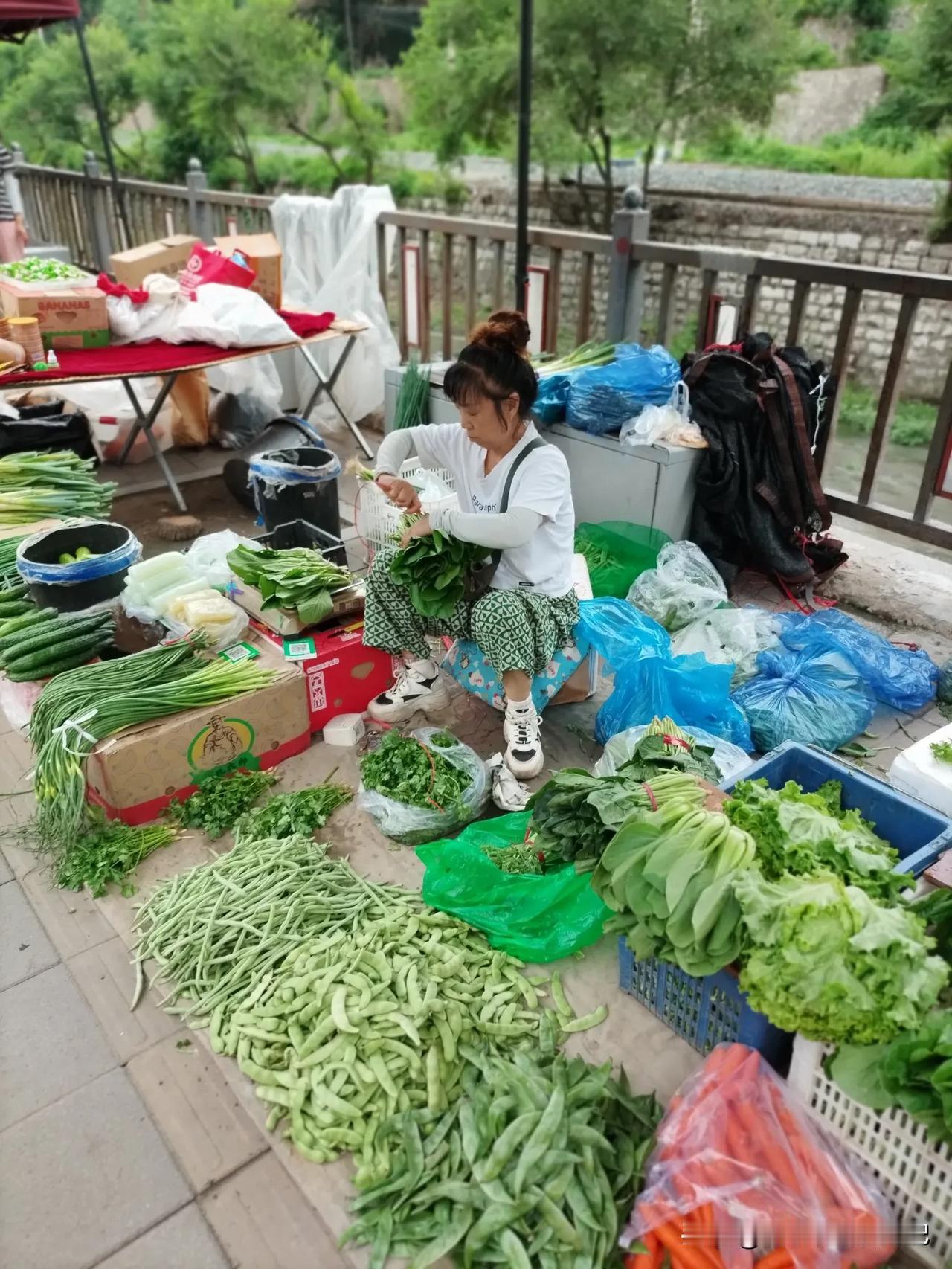新鲜的时令蔬菜上市了。
今天早上逛早市，发现有不少时令蔬菜上市了，而且都是绿色蔬