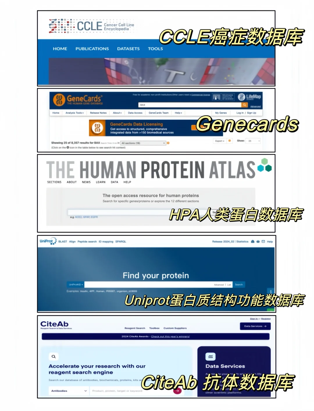 科研人不知道这些数据库我是会伤心的‼️