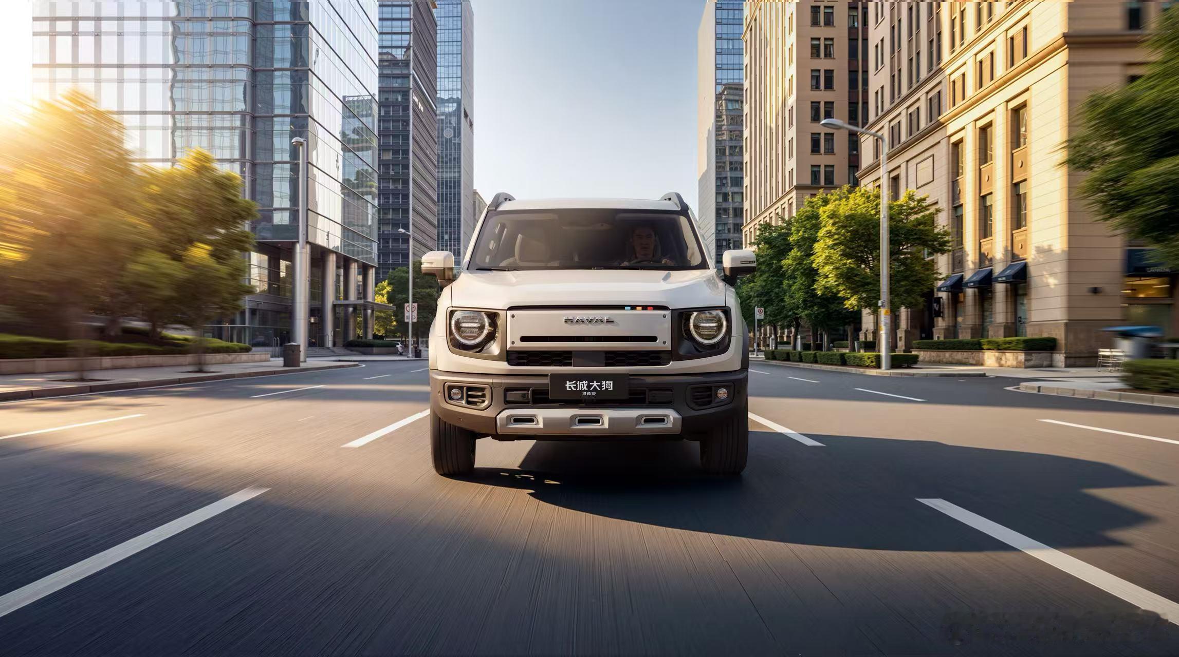 长城大狗混动版长城大狗混动版用得省开得爽玩方盒子的群体，在过去几年的市场产品中依