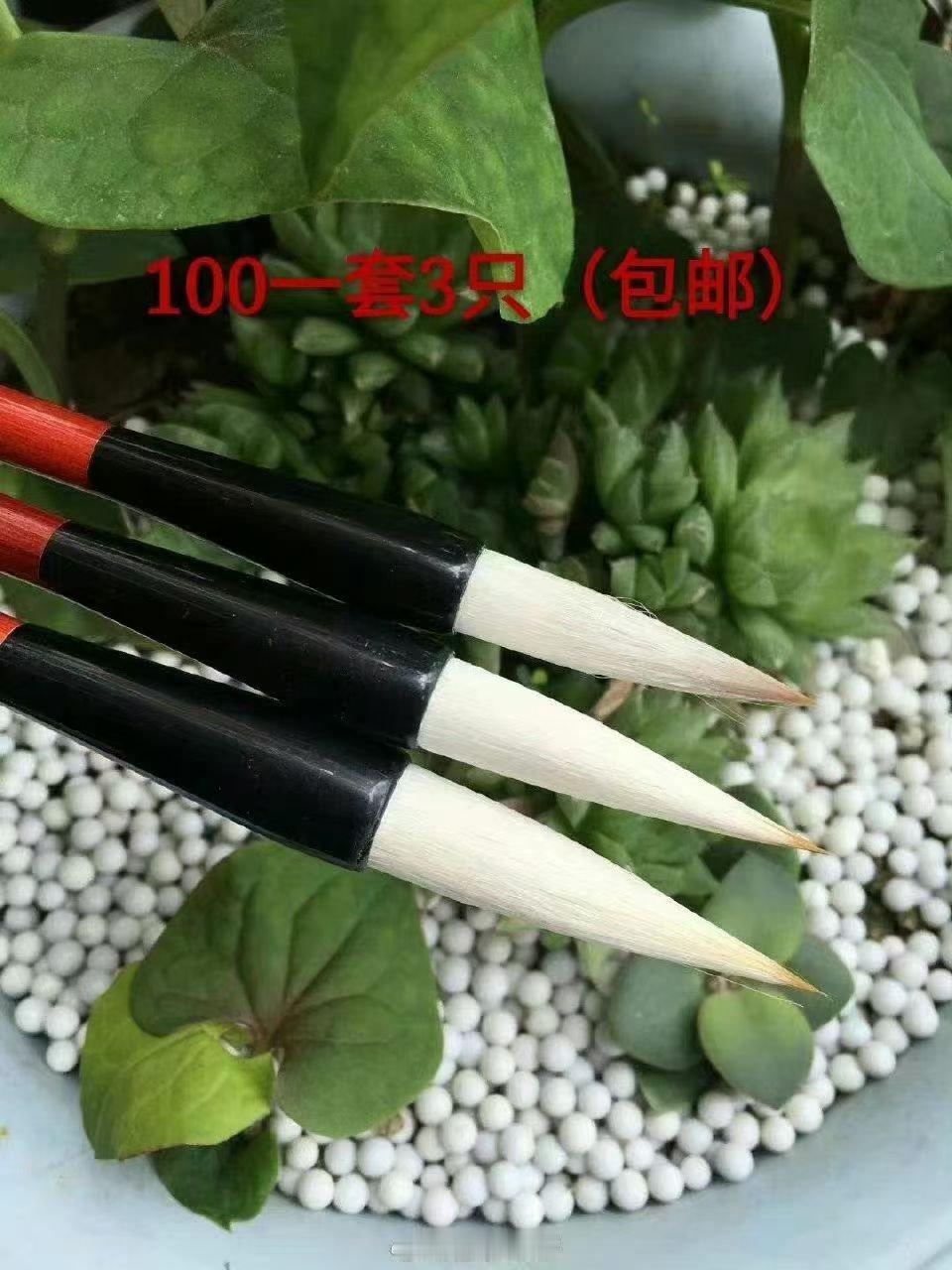 分享图片 ​​​