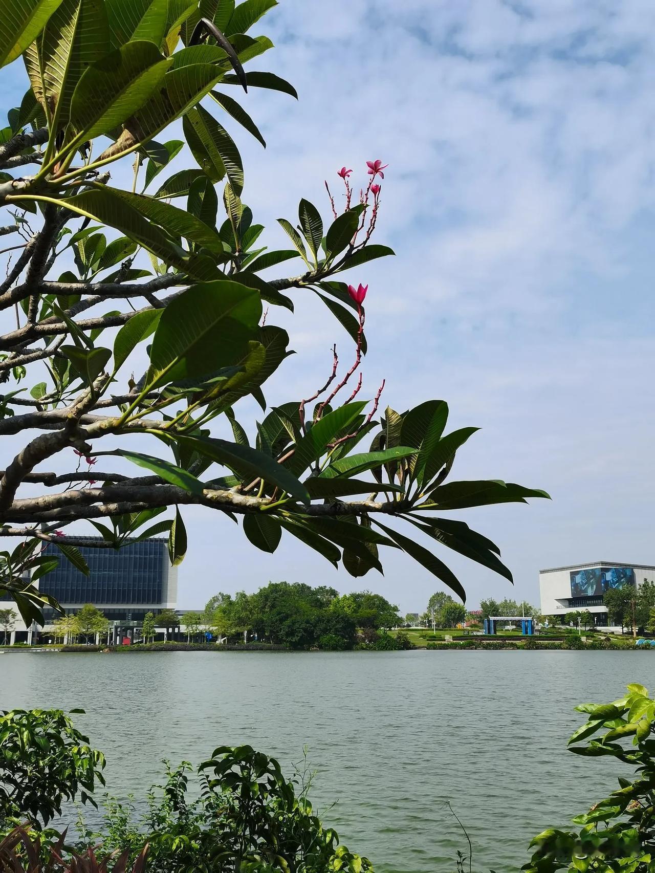 当你感觉到生活  很难，
压力大到快扛不住时，可以试试这样:

1、什么都不要想