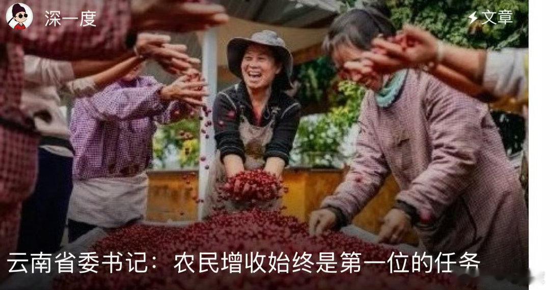 云南省委书记关切促农增收增收不只有种地一条路。云南大力推广“幸福里”社区和家门口