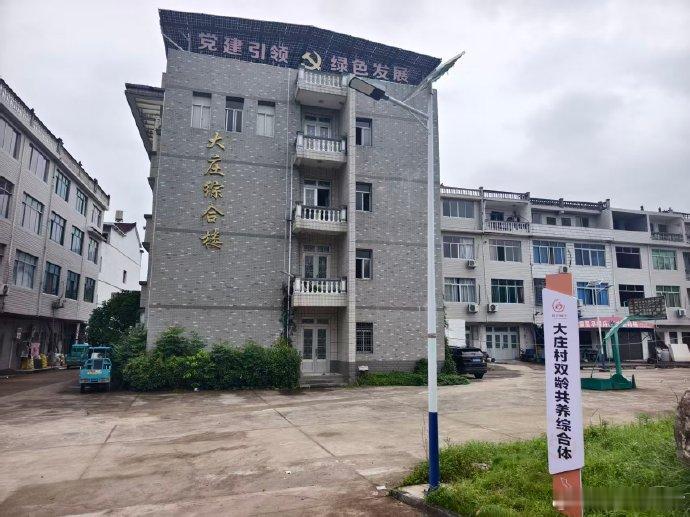 台州仙居共享菜园打开朝夕相伴新图景 仙居大庄村：一块菜地，解决了“一老一小”的大