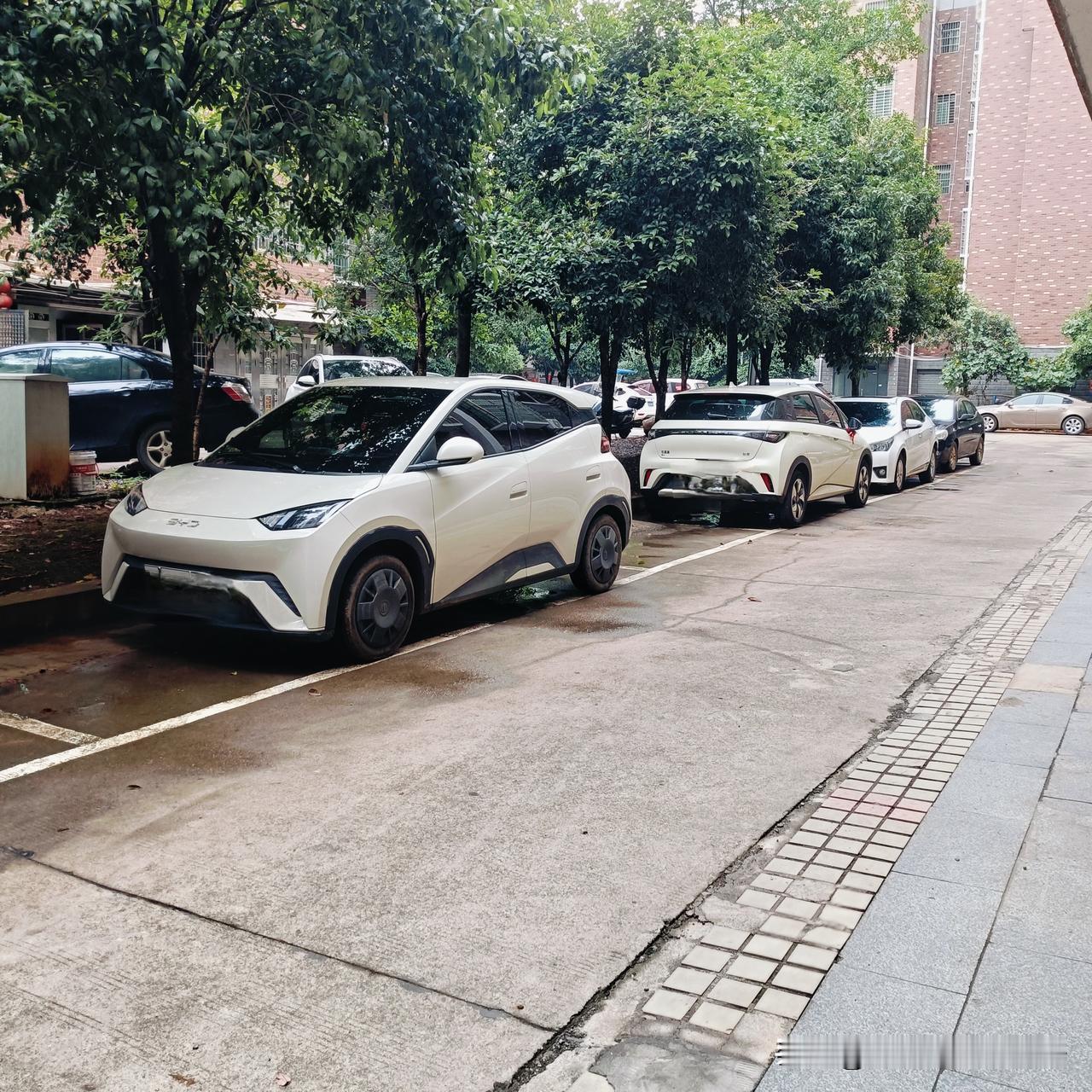 电车时代来临，油车真的会被淘汰吗？

我发现现在新能源电车越来越受大家喜爱，无论