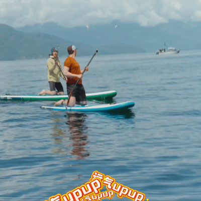 王一博气运之子 北美西北的鲸鱼有多难见？本地人都哭晕！结果王一博第一次去就偶遇，