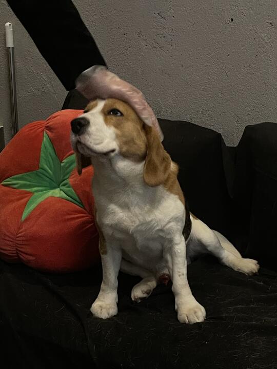 🤪