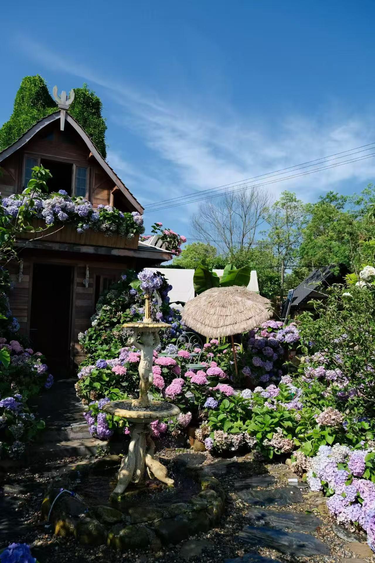 长沙和润农场绣球花💐误入莫奈油画花园！
📍长沙市开福区沙坪湘绣小镇·和润（禾