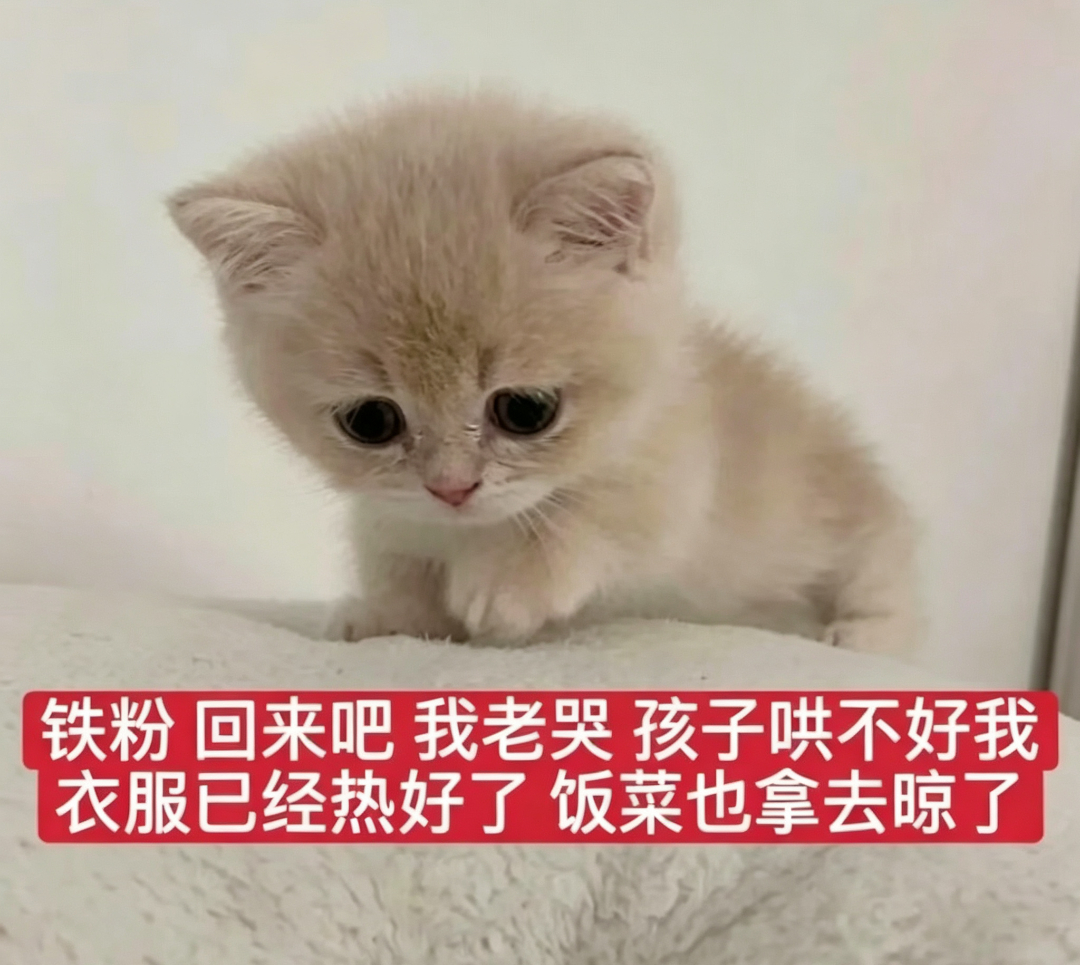 迪丽热巴 铁铁回来吧，我没有你就像鱼没有水，树没有土，自行车没有链条，可乐没有气