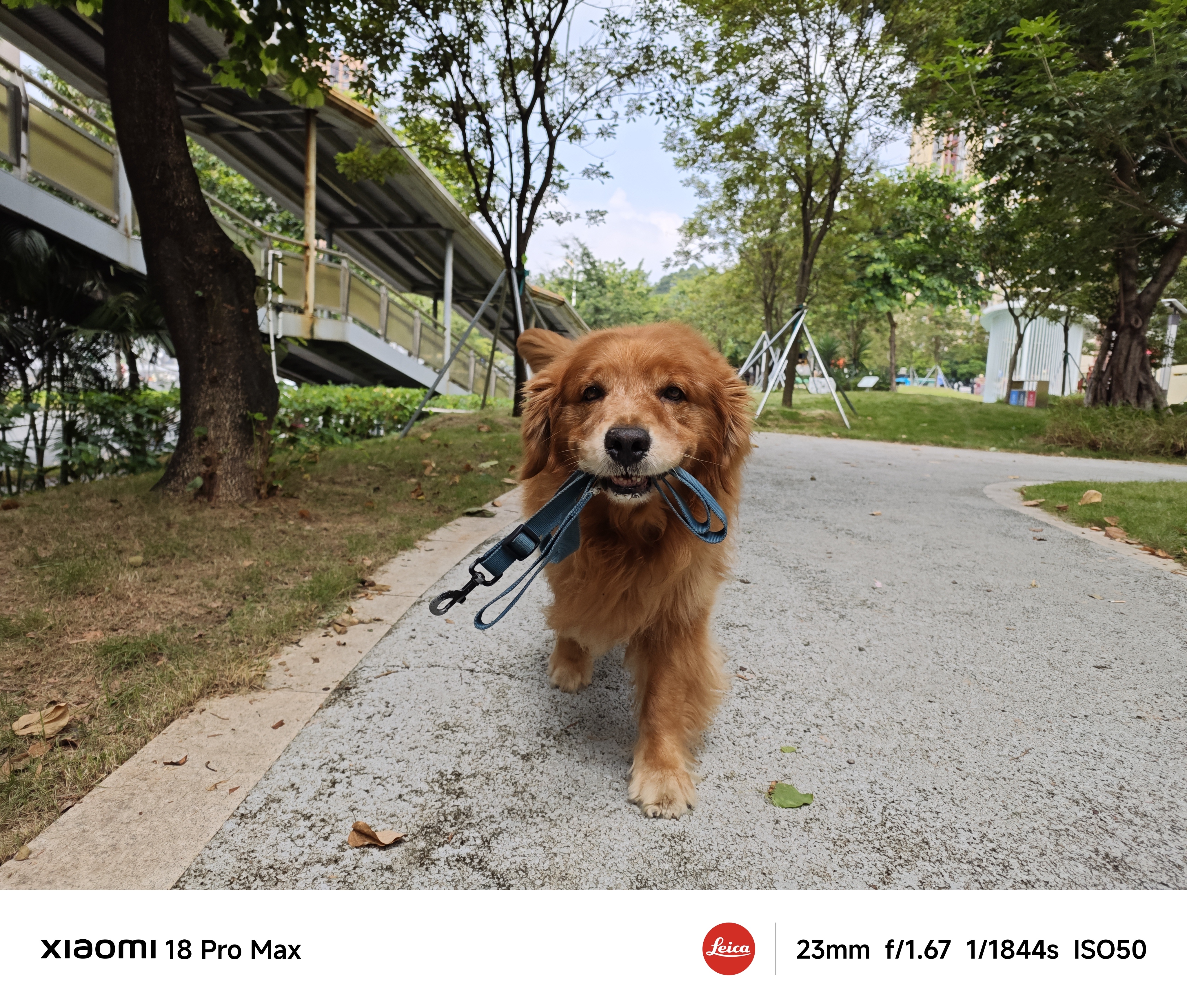 Photo by Xiaomi 18 Pro Max，出境模特：我家老大[干饭人