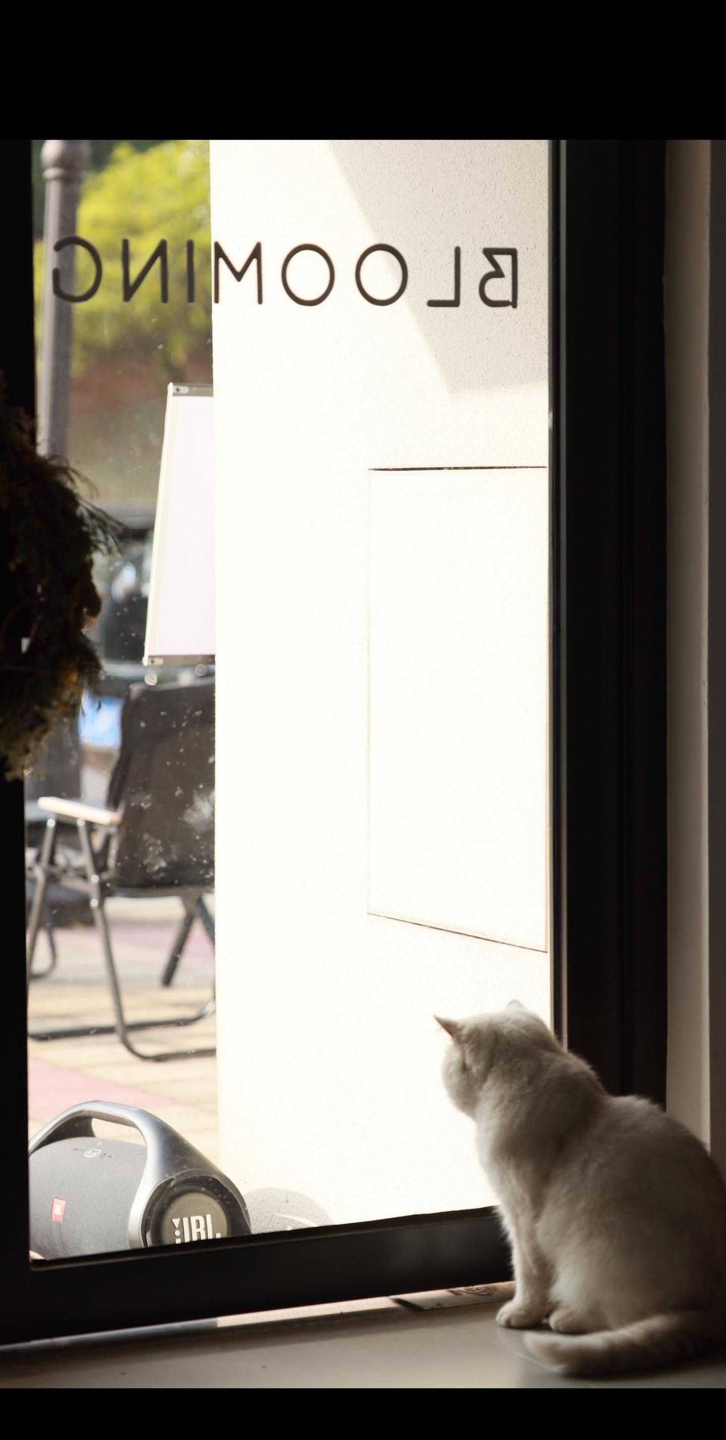 刚出社会的时候我才十几岁，一晃现在三十几了，看到大街上的小女孩，真羡慕...