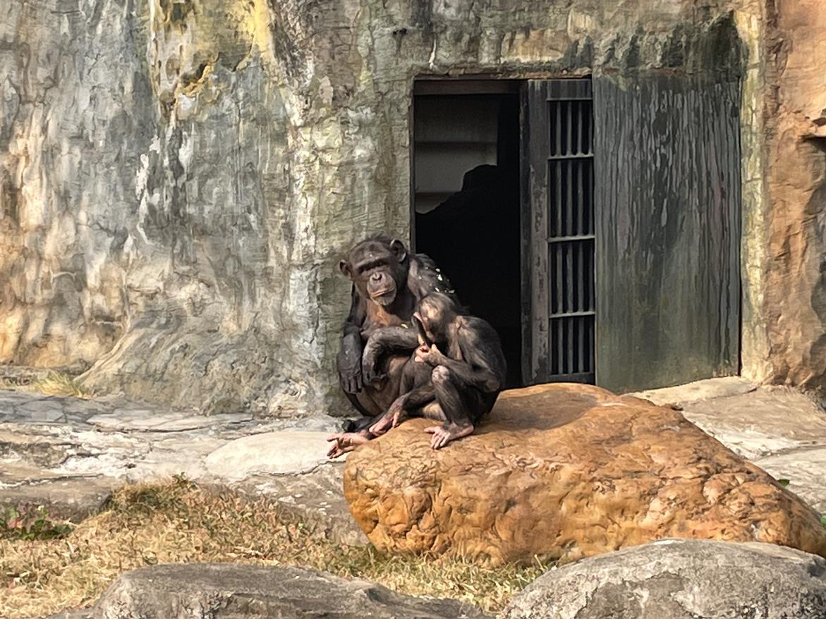 我的今日状态：😁轻松愉快
我这里的天气：🌤️多云