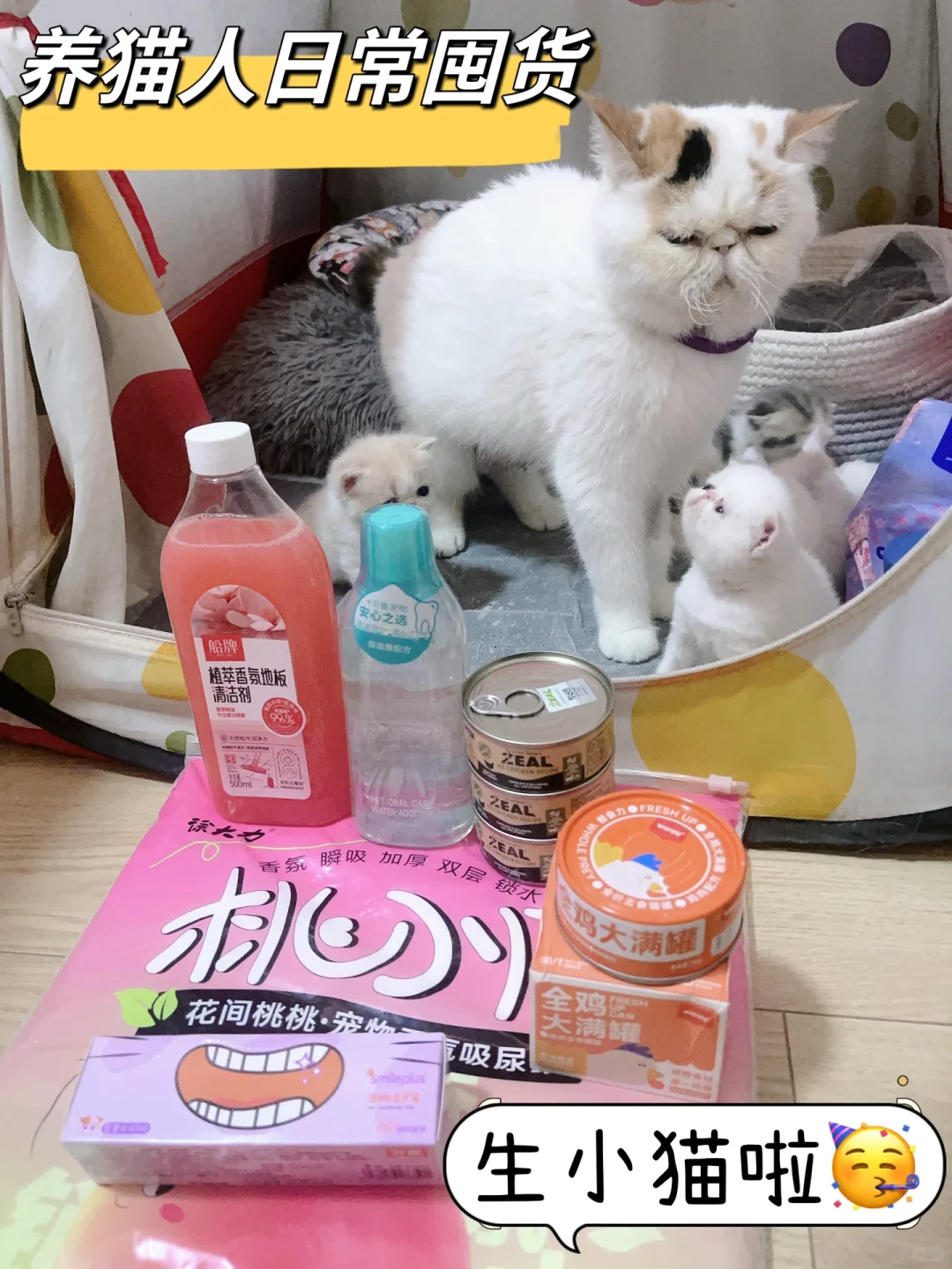 养宠家庭日常囤货篇