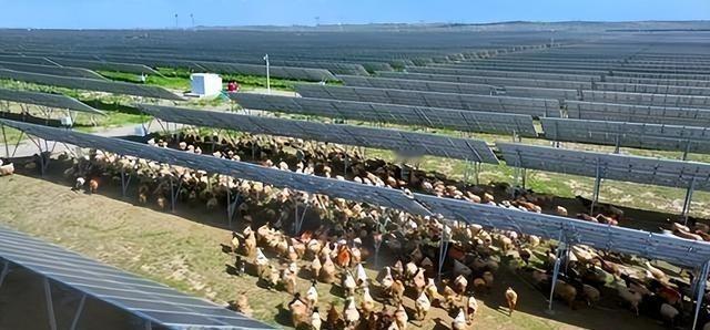 万万没想到，中国基建闹了个大“乌龙”，本打算耗资3亿在荒漠建发电厂，没想到10年