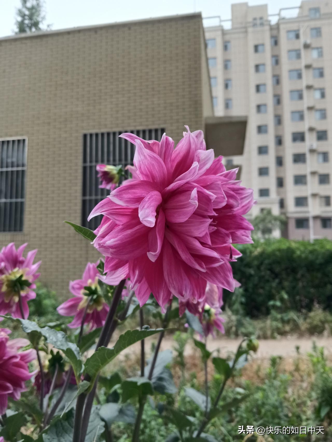 ​一、女人不主动约你，不是矜持，是你在她眼里不值一提。
​别再替她找台阶了。什么