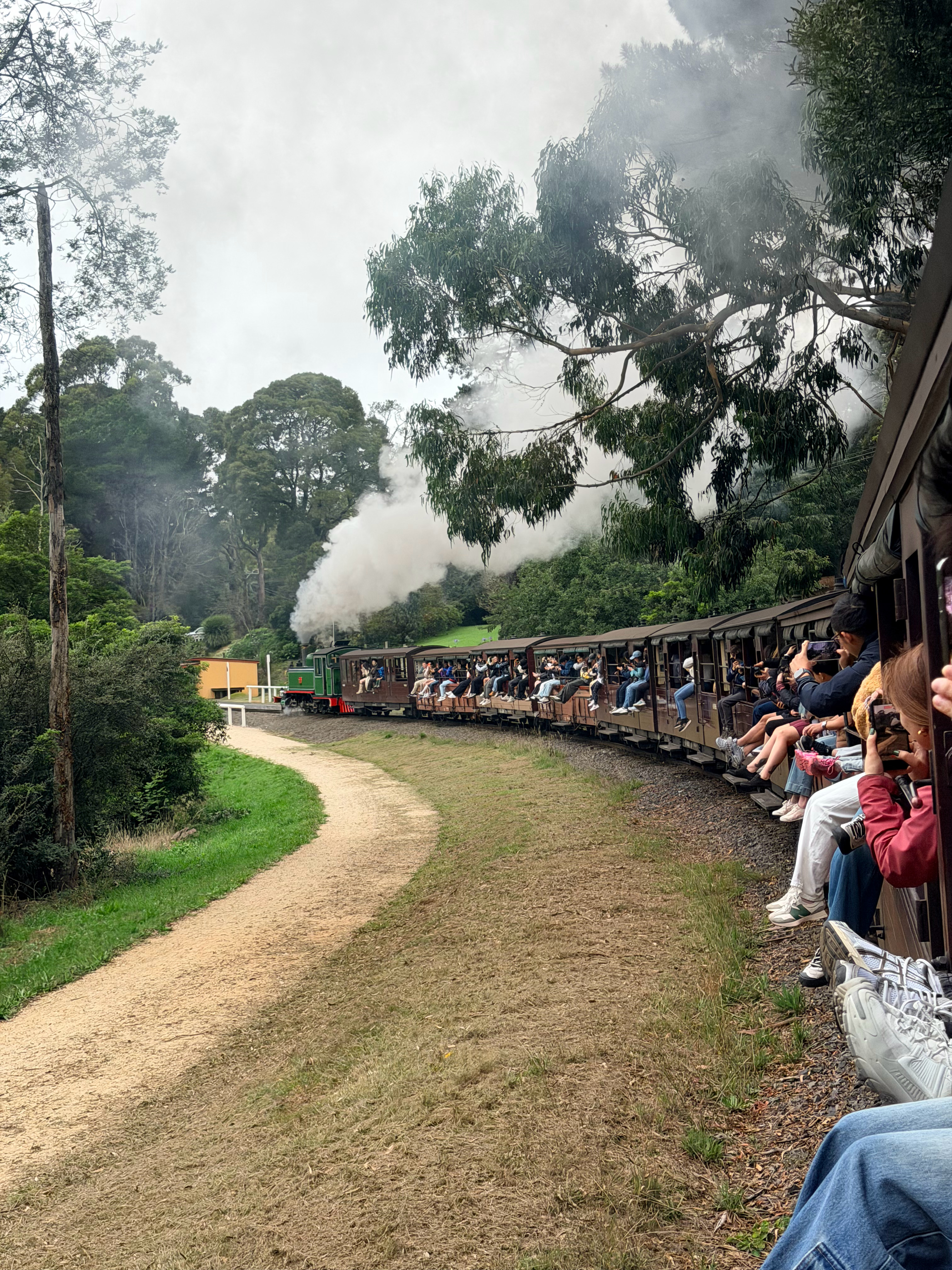 来坐墨尔本出名的小火车还是现役的蒸汽火车🚂 