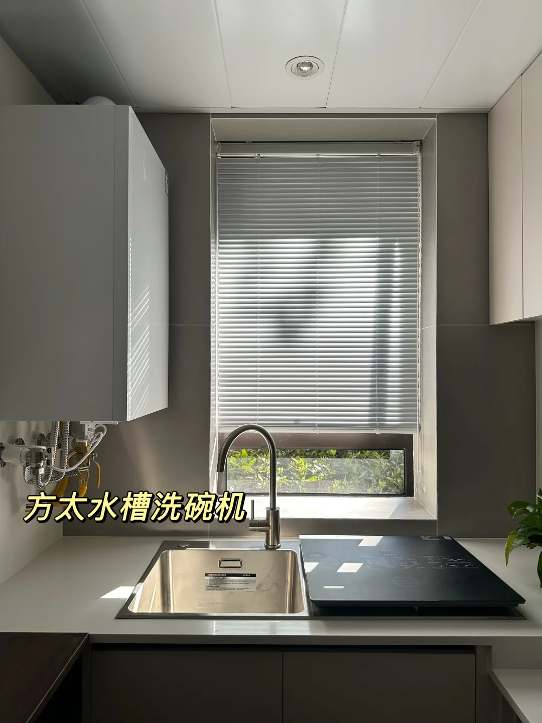 海鲜市场挖宝｜我的租房生活⑫