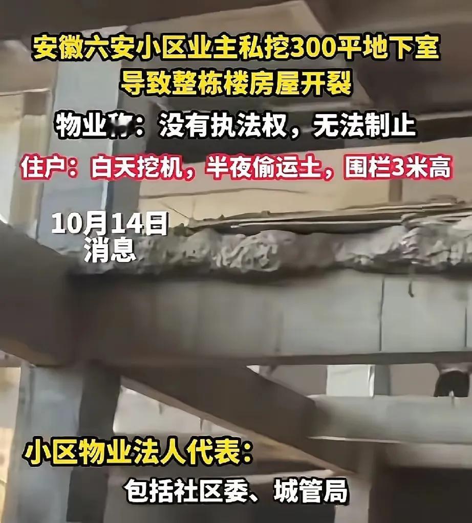 谁能想到

安徽某小区32户人家半辈子的心血

会栽在一个邻居手里？

有人偷偷