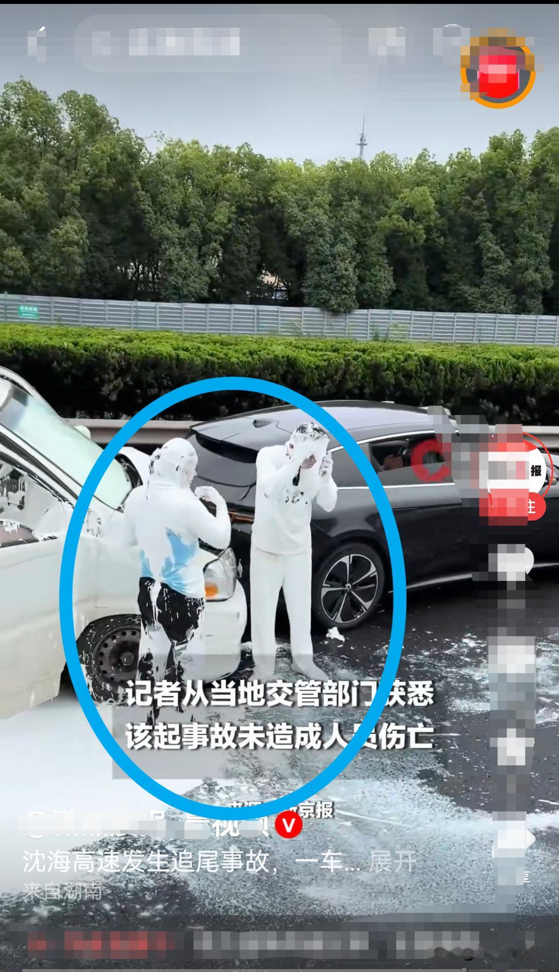乐了｜沈海高速上出现两个“小白”，原来是交通事故惹得祸！
       沈海高速