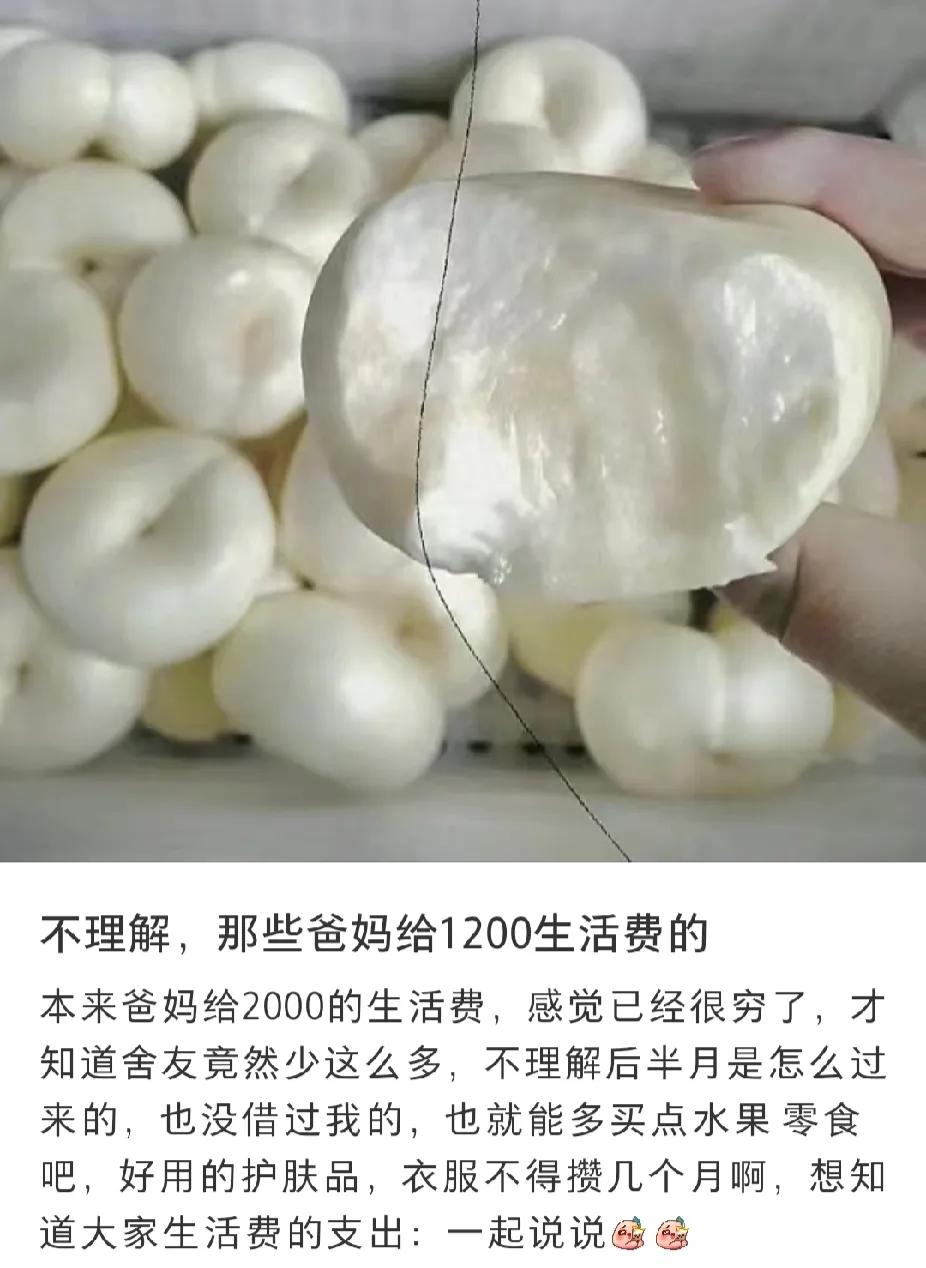一个大学生发帖说：“实在不理解某些父母，他们给孩子的生活费只有1200块”。

