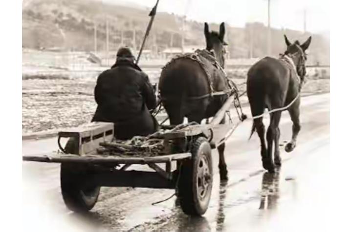 什么叫“拉帮套”？
        拉帮套原指多匹马同拉一辆车，主马叫架辕的，掌