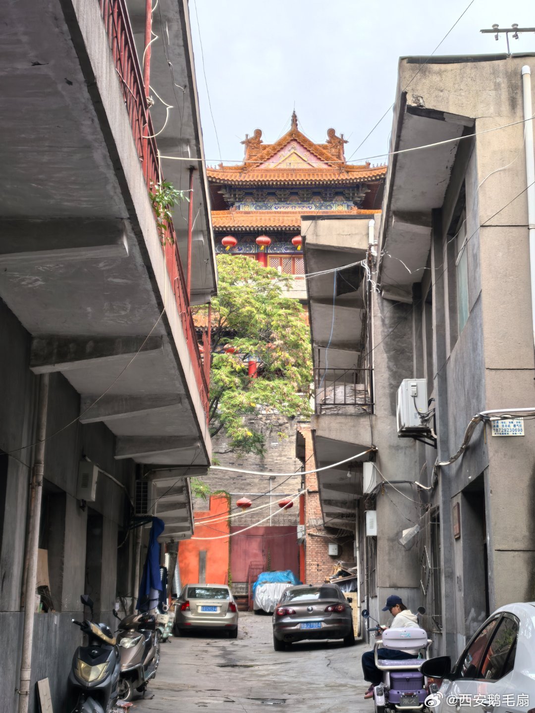 西安旧事 这条曲折逼仄的老巷，夹着朴素居民楼，凌霄花攀墙漫展，艳红繁花垂落墙头。