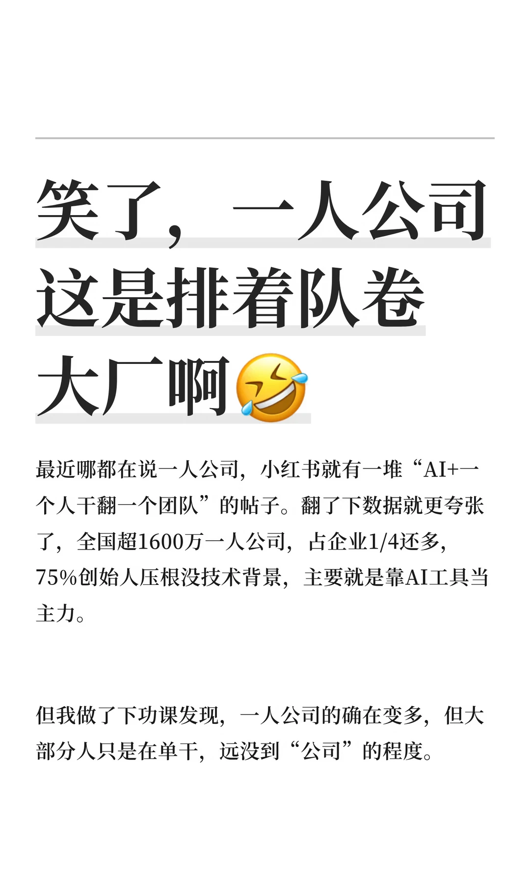 笑了，一人公司这是排着队卷大厂啊🤣