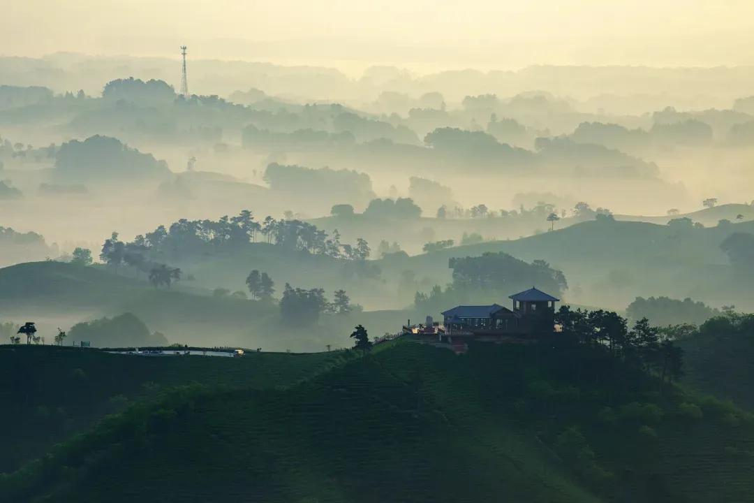 【管住嘴，守住心，不窥探、不评价、不传播；把时间留给自己，把尊重留给他人，远离是