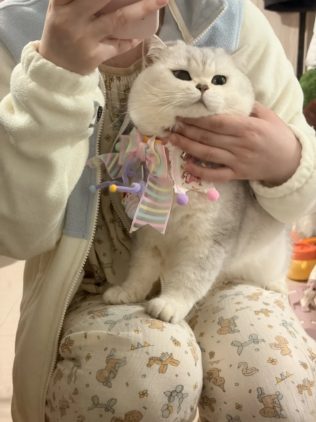 小猫这个萌～