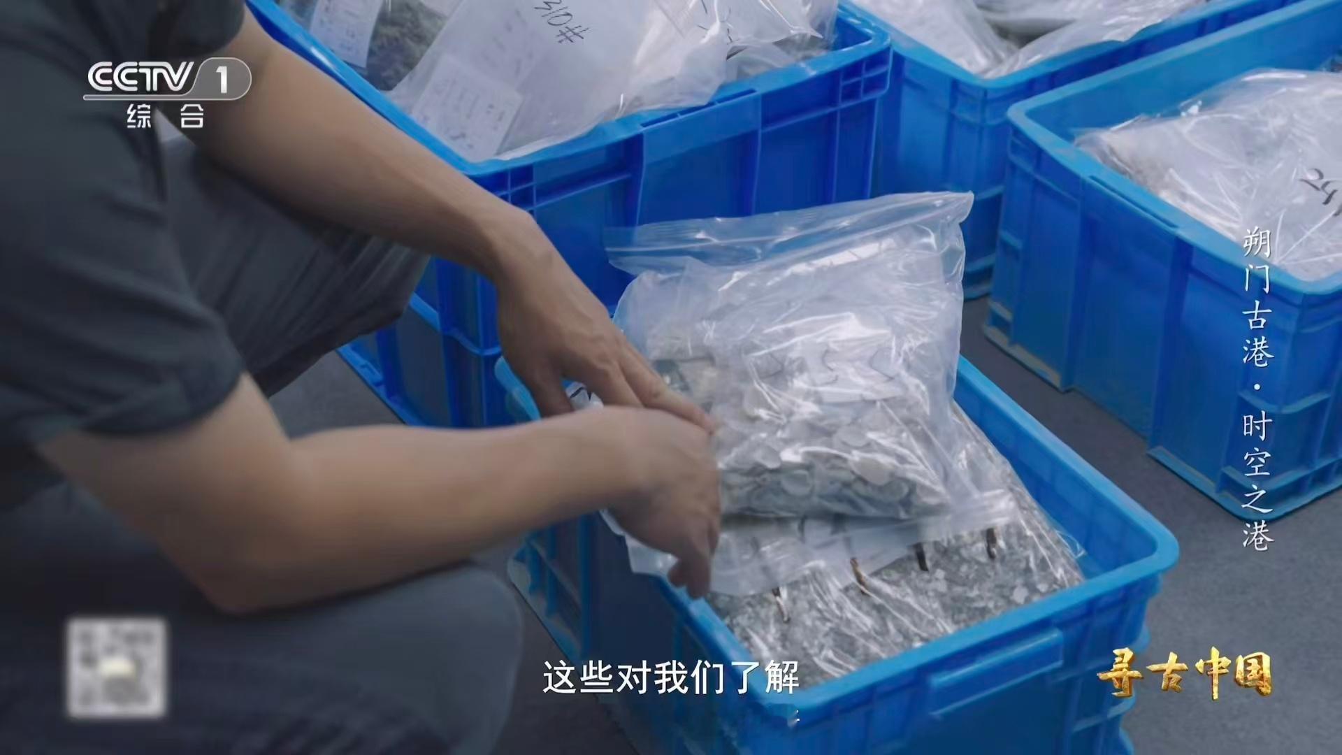 古人也吃血蛤一枚枚血蛤贝壳藏千年故事，诉说着温州先民的生活智慧，吃血蛤的习俗流传