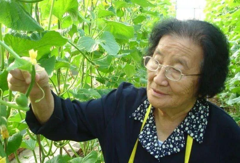 夏天抱着半个冰镇西瓜拿勺挖着吃，这事儿在中国人眼里再寻常不过，但在日本韩国却成了