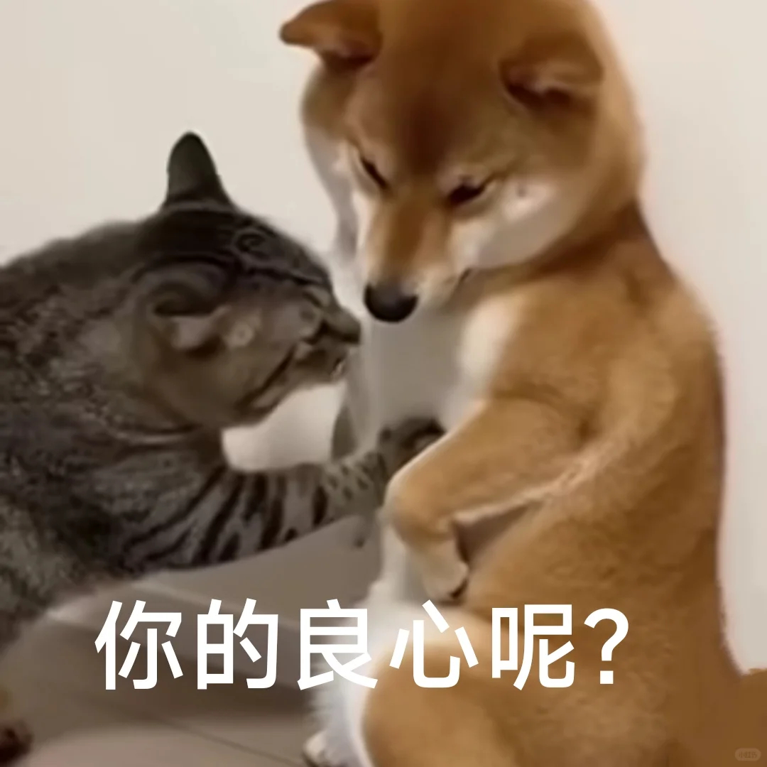 爷爷卖16000个烧饼孙女打赏给主播 已经不是懂不懂事的问题了，孙女已经16岁了