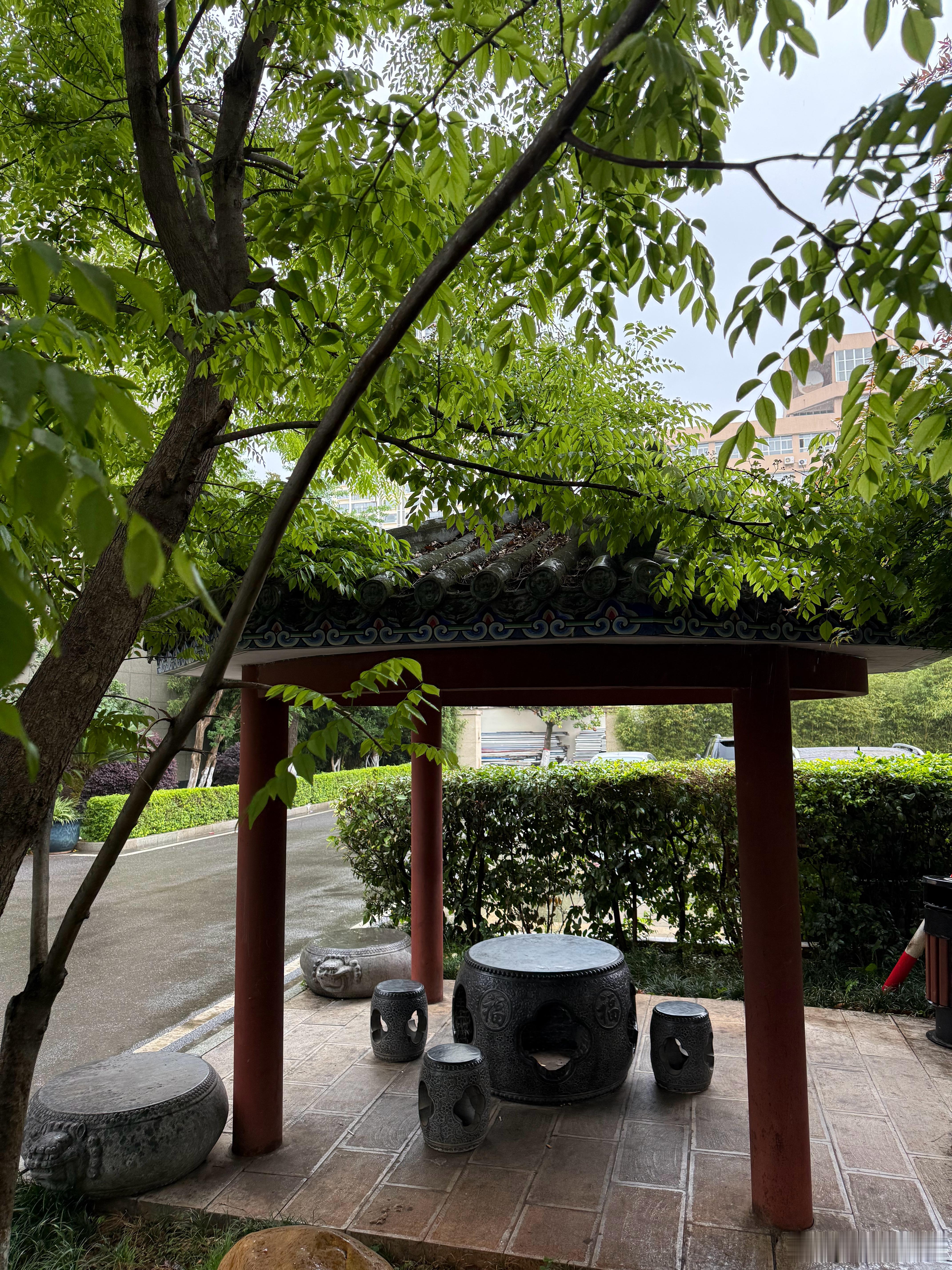 昆明。早餐后，细雨绵绵，站在这个亭子里喝了一杯从早餐厅打来的免费拿铁，味道不错，