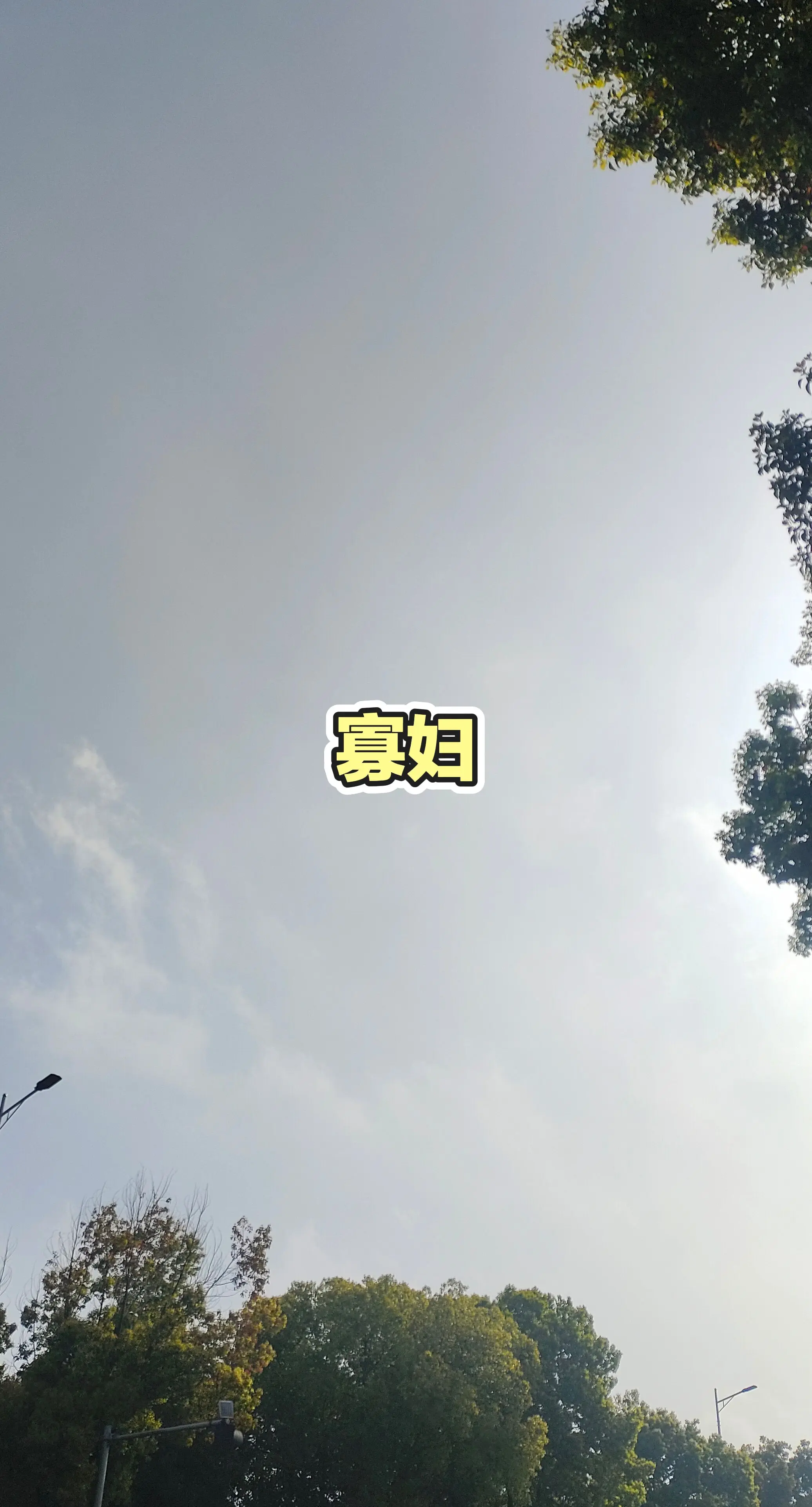 日更