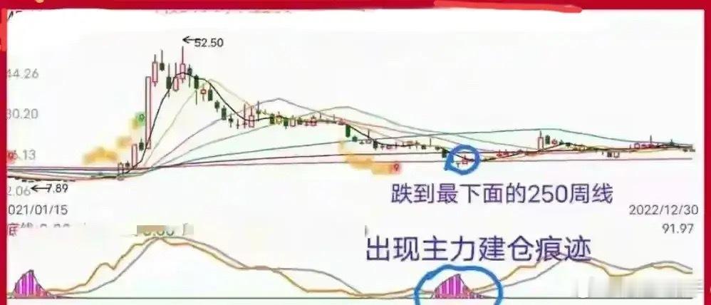一眼识别股票真底部！看懂周K线两大特征，告别盲目抄底不少散户炒股亏钱，并非高位追