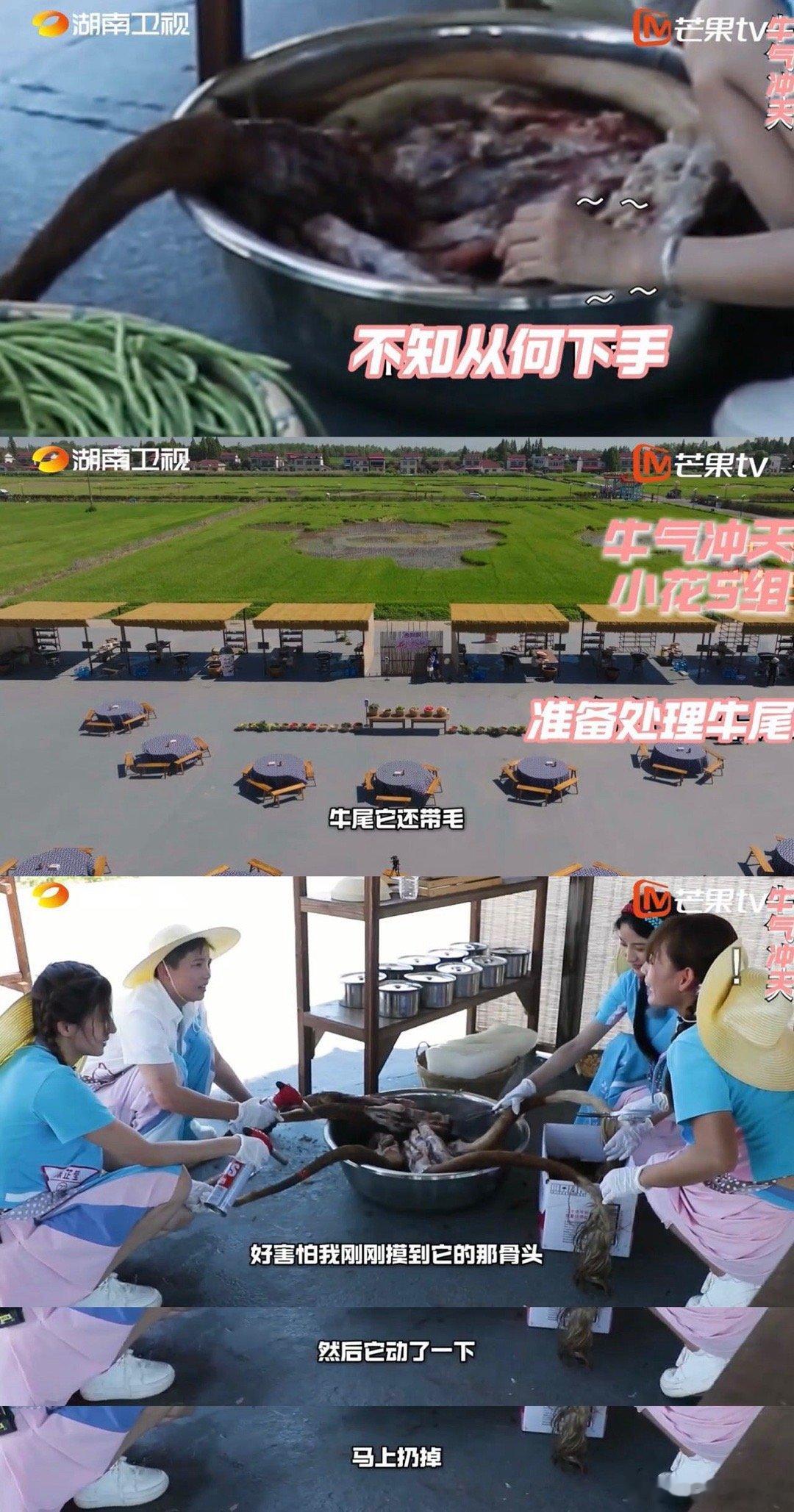 好家伙#内娱综艺开始悄悄上难度了# ！没想到#花儿绽放# 一个做饭也能玩出新花样