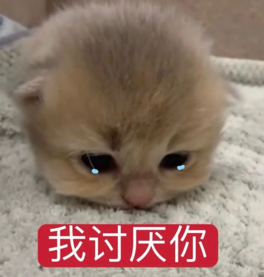 不喜欢您 