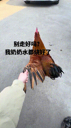 太坏了！
我居然看出来了！
像妖怪留住唐僧的那种柔情，
目的却是，
不是想睡你就