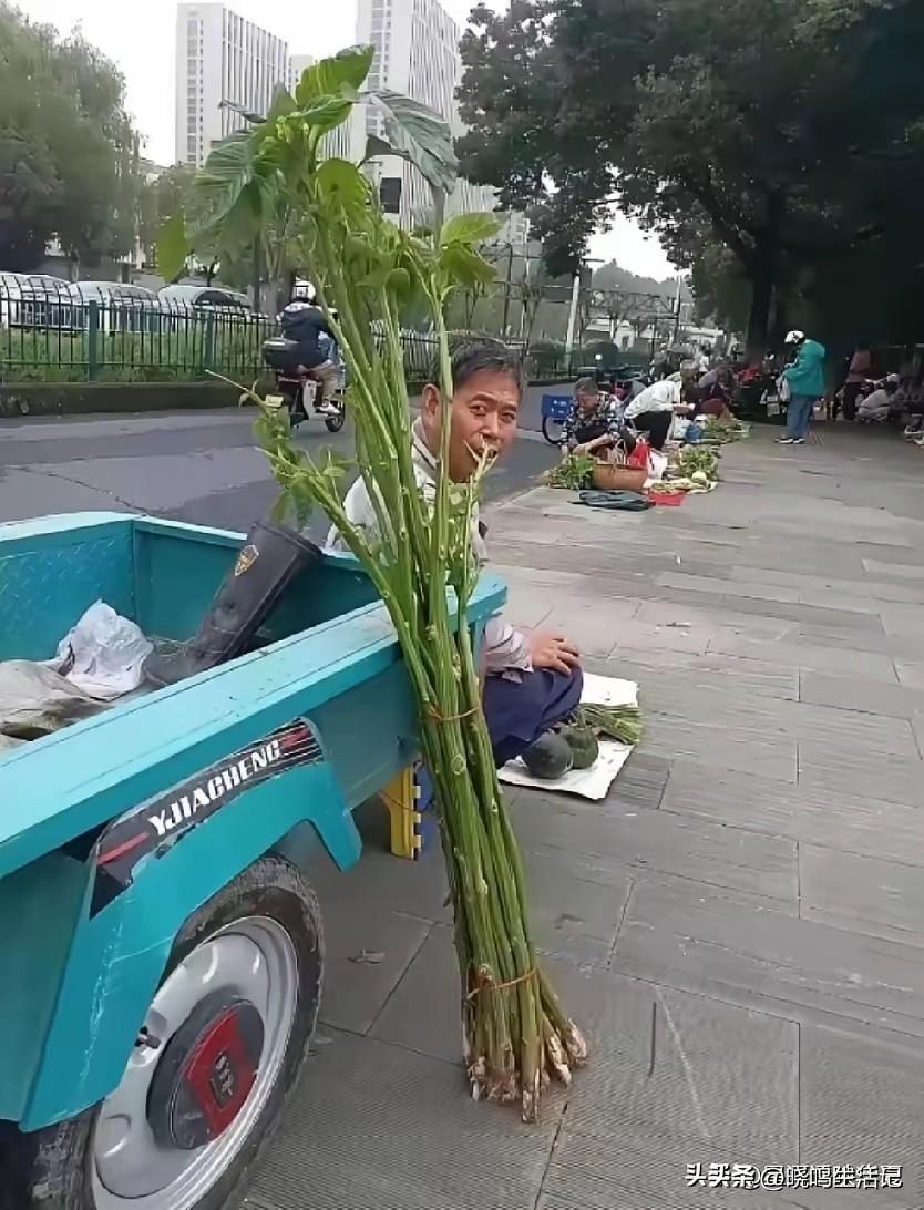 这个也能卖？不知道买回去干嘛用