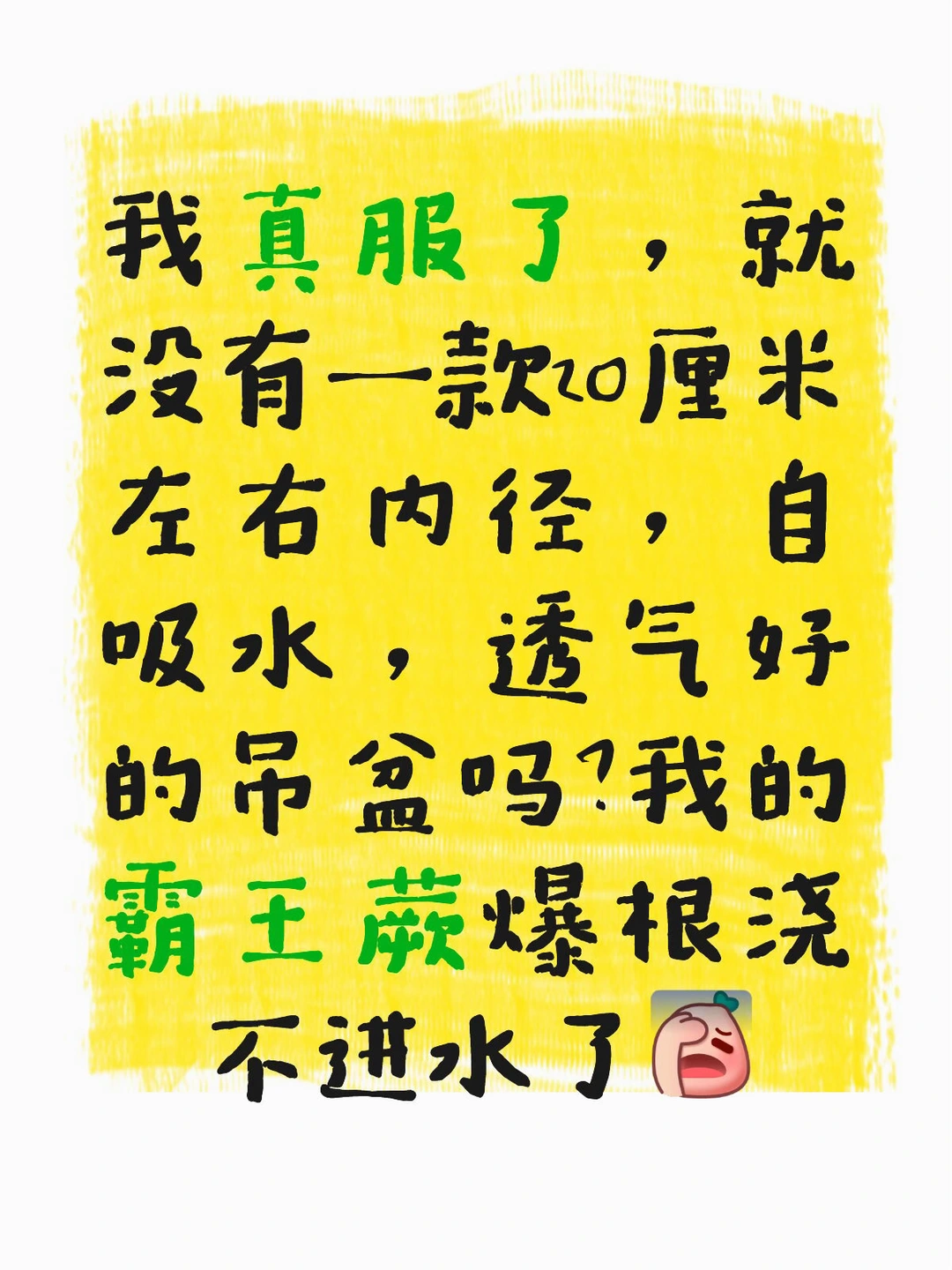 求推荐！救救我的霸王蕨