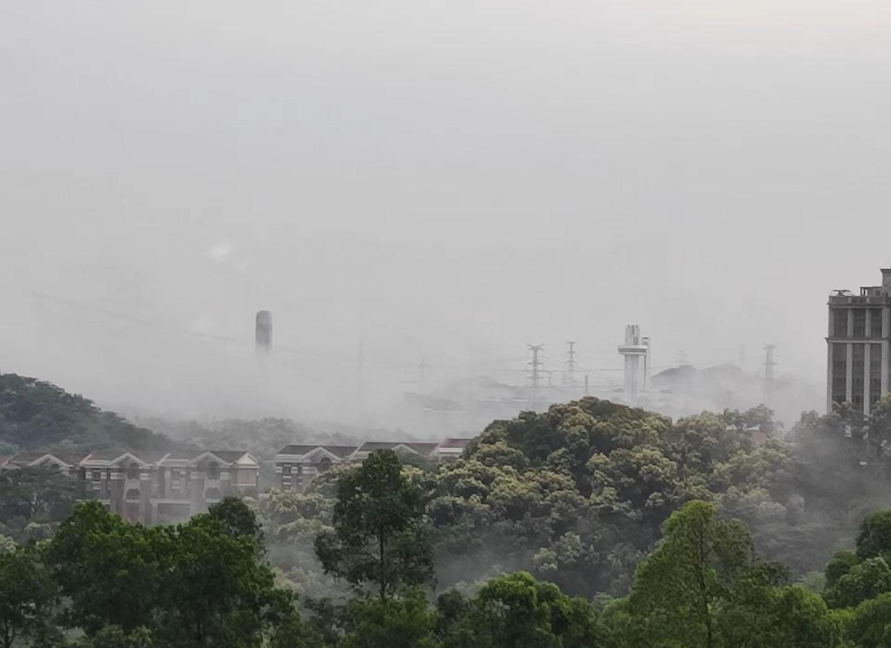 广州黄埔区雨后雾霾天气一场大雨改变了我的伙食不止有土吃还有汤喝了