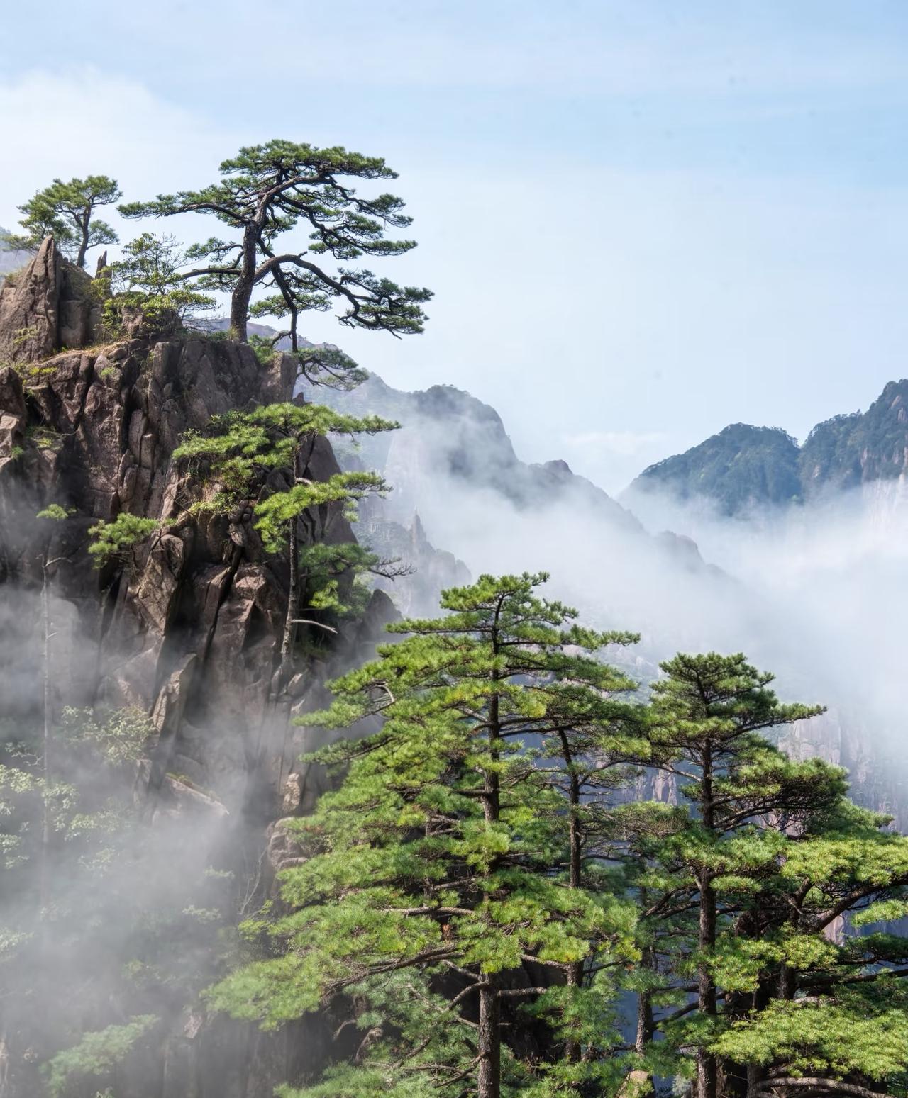 真心话茶局层峦青山连绵起伏，孤松傲然挺立，山间云雾悠悠缭绕
