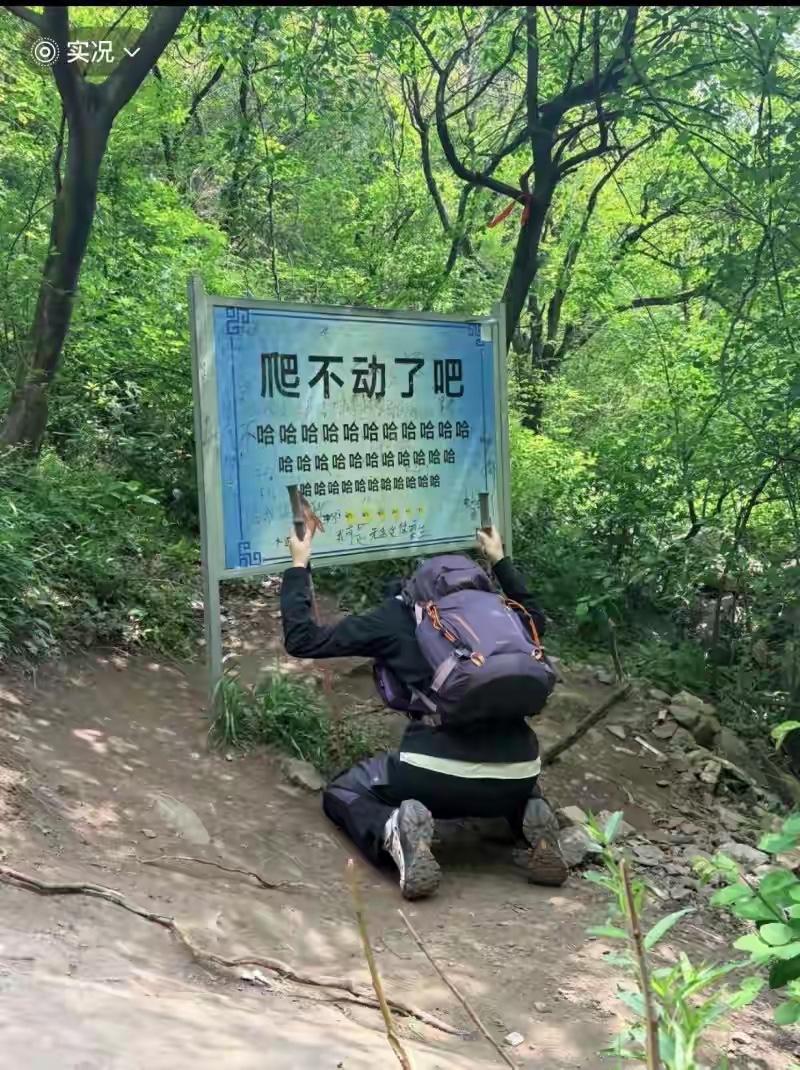 嵩山景区“爬不动了吧哈哈哈哈哈”标语牌被指嘲讽游客遭撤换？景区：听劝，又换回来了