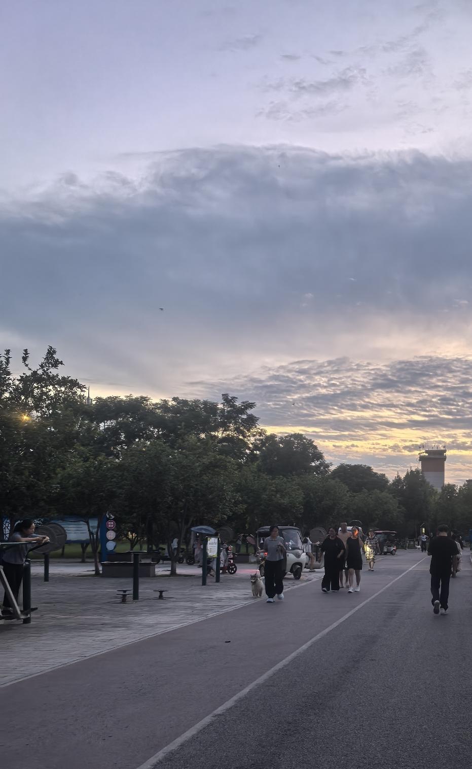 今儿以我们普通大众的心态，给古柯说几句话：一个大男人，还尚年轻，有手有脚的，要这
